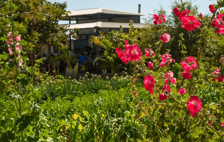 HIERBABUENA RESTAURANTE, Pescadero, BCS