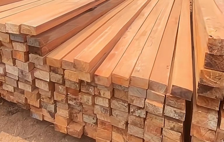 kayu_kamper