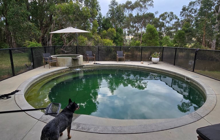 Inground swimming pool with spa and water feature