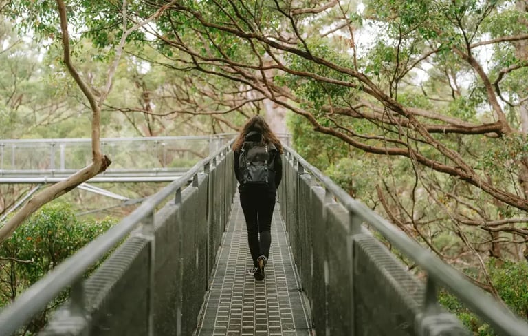Person walking along a high tree canopy bridge
