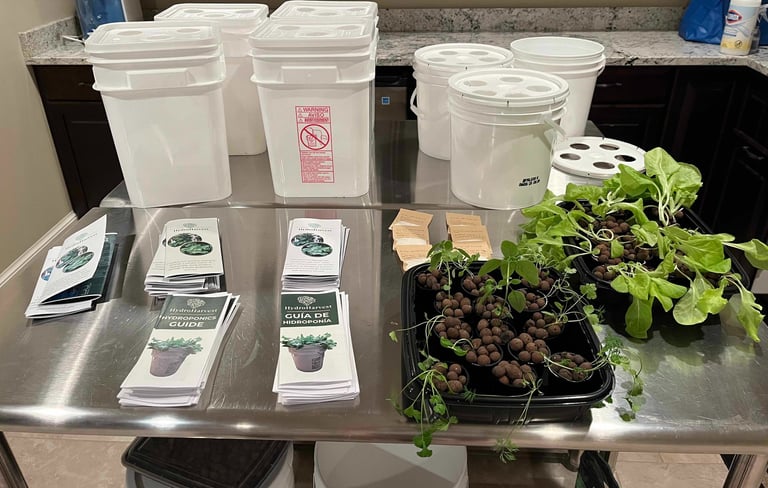 Hydroponic grow buckets, brochures, and lettuce seedlings on a table