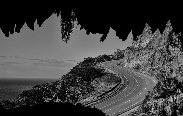 Ganador noviembre BN