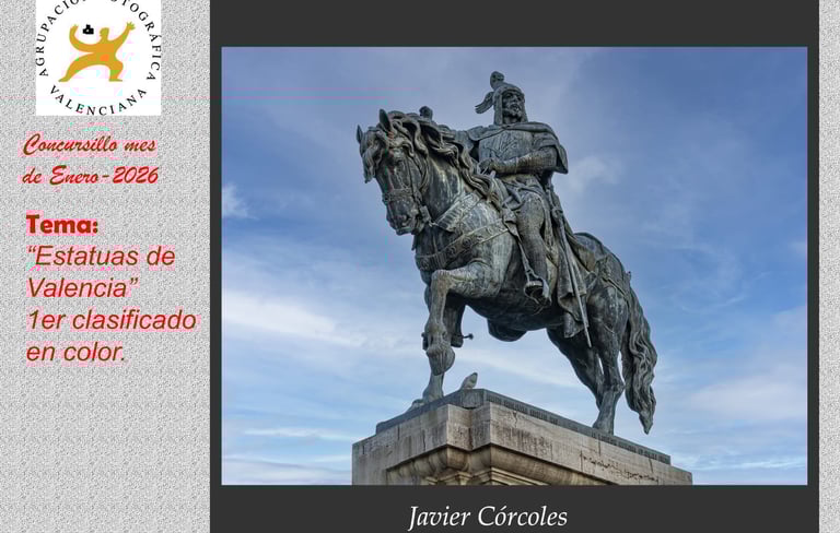 Primer Clasificado Concurso Mensual Enero 2026 Color