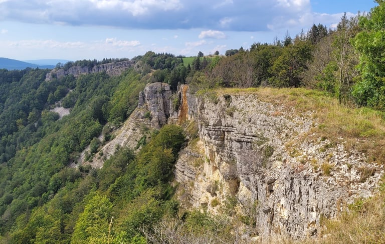 La Combe d'Orvaz, proche de l'élevage