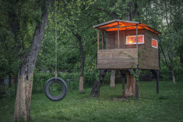 Cabane sur pilotis construite autour d'un arbre