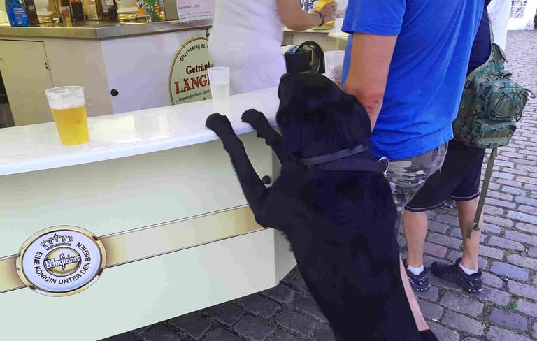 Dogpils Hundebier Wieck