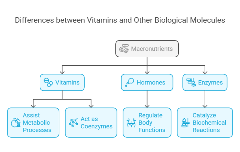 vitamins & other biological molecules