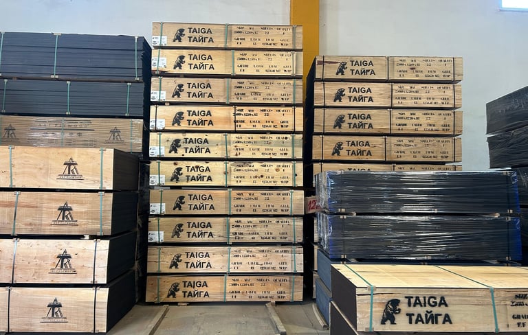 Huş plywood paketlenmiş halde, sevkiyata hazır Taiga Plywood ürünleri – 13 katmanlı dayanıklı kontrp