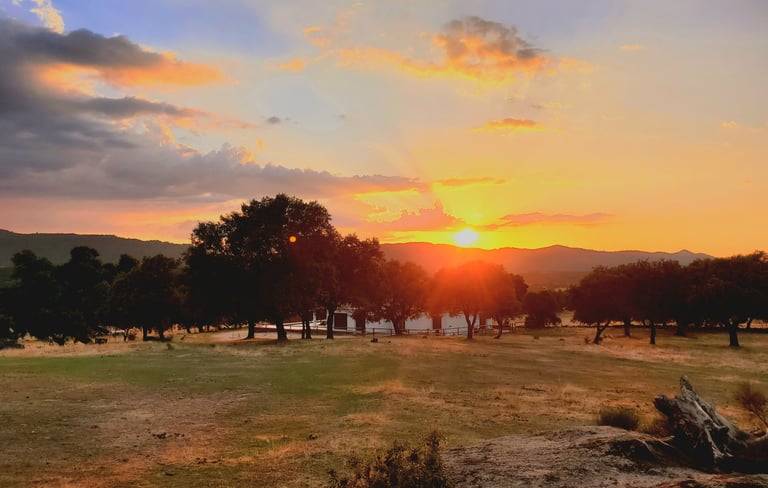 Coucher de soleil chez Bel'âne