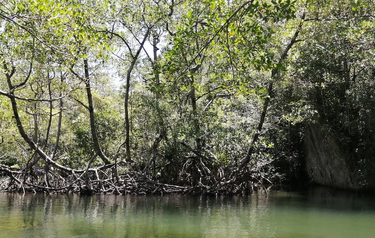 Los Haitises National Park