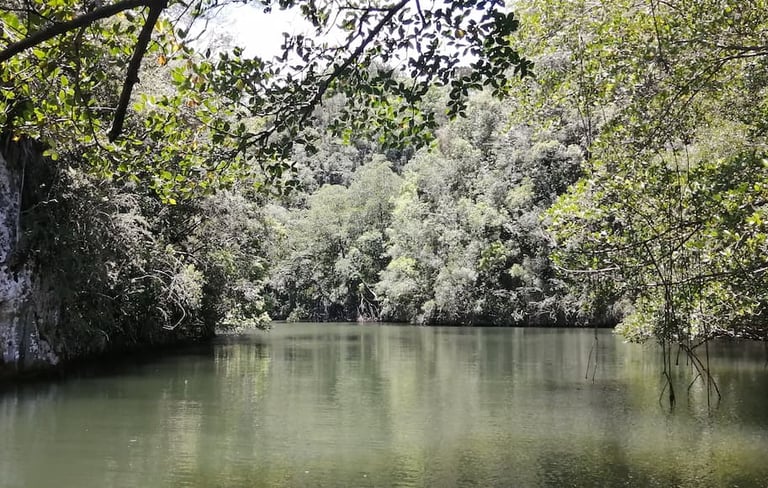 Los Haitises National Park