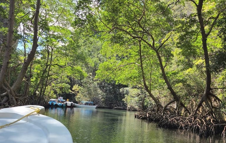 Los Haitises National Park