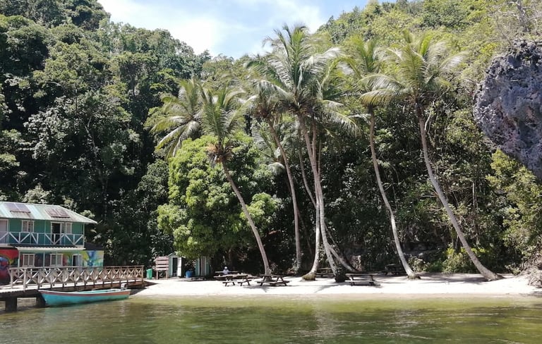 Los Haitises National Park