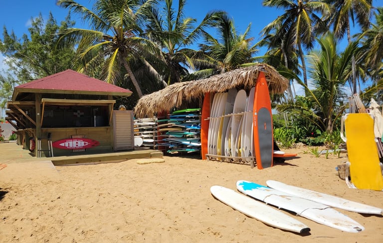 Playa Macao Beach Surf