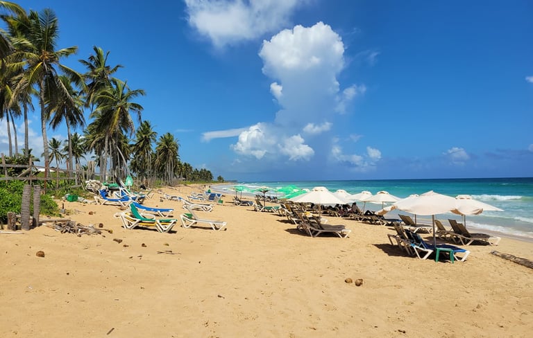 Playa Macao Beach