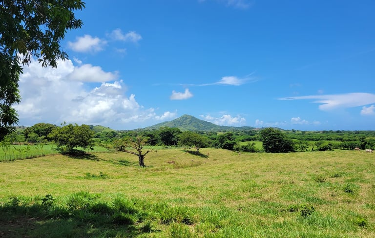 Montaña Redonda