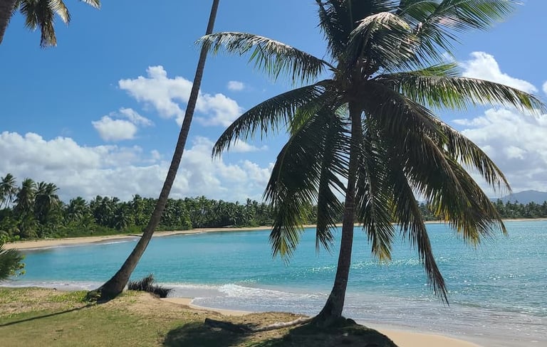 Playa Esmeralda Miches