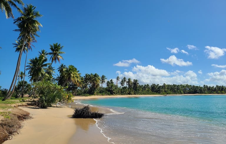 Miches a good place to invest in 2026