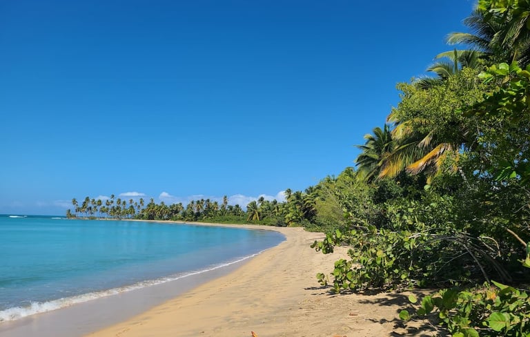 What Makes Miches Unique - Playas - Nature