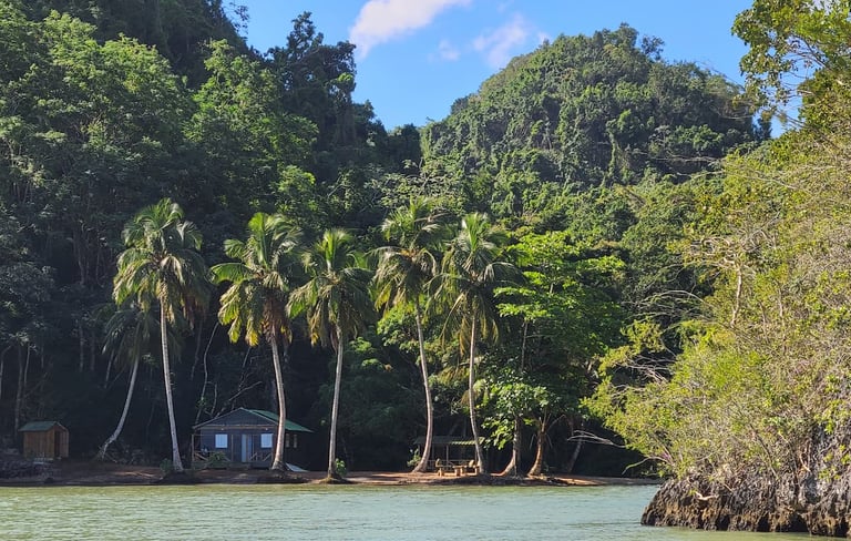 Parc national Los Haitises République dominicaine