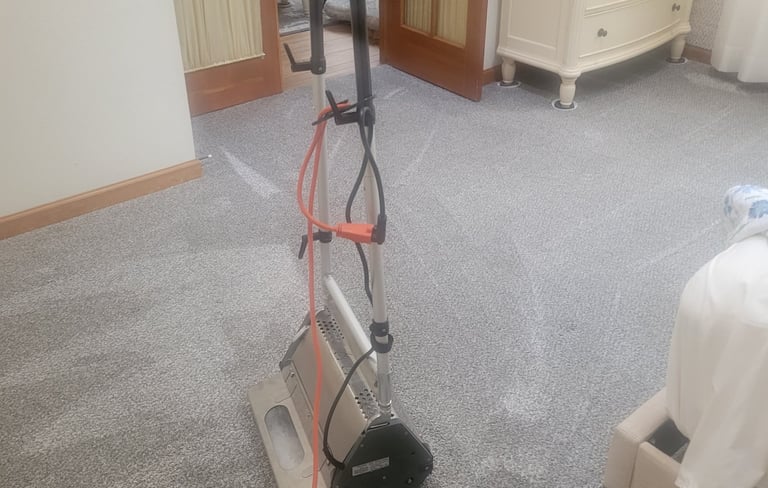 Before & After Photo: Eco Green Carpet Cleaning, in Action with King Organic Clean.