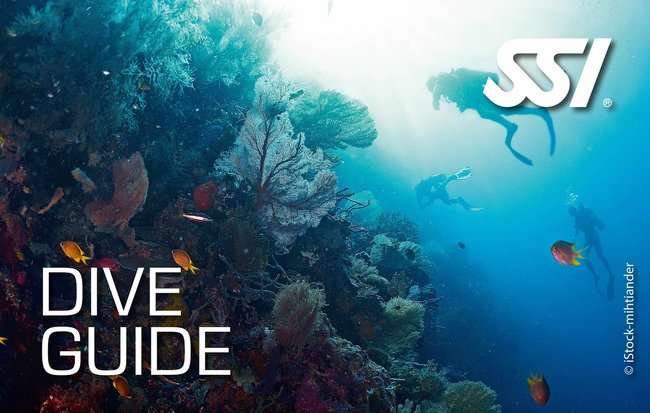 a dive guide in the water