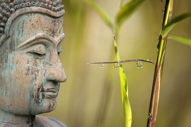 relations apaisées; trouver ressources et force de vie; surmonter problèmes et deuil et séparation
