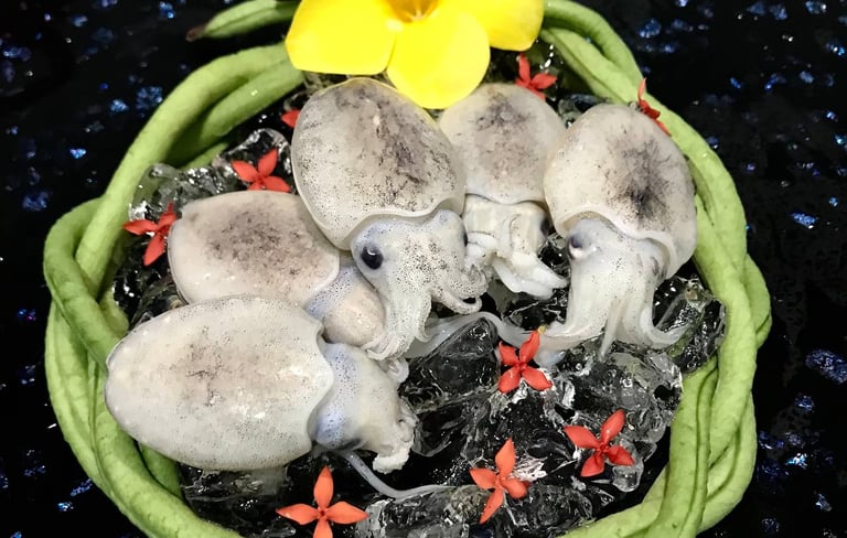 Frozen-Round-Cuttlefish-Seafood