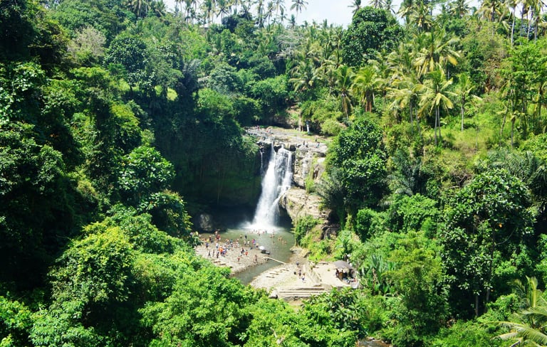 falls hidden in the forest
