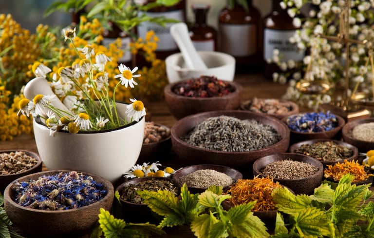 Ingredientes naturales y plantas medicinales para la elaboración artesanal de cremas botánicas.