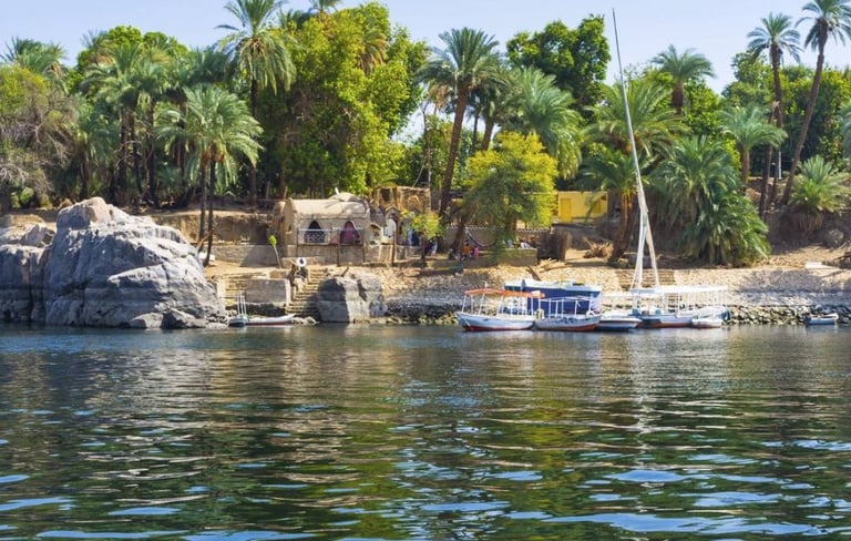 a boat on the water with palm trees in the background