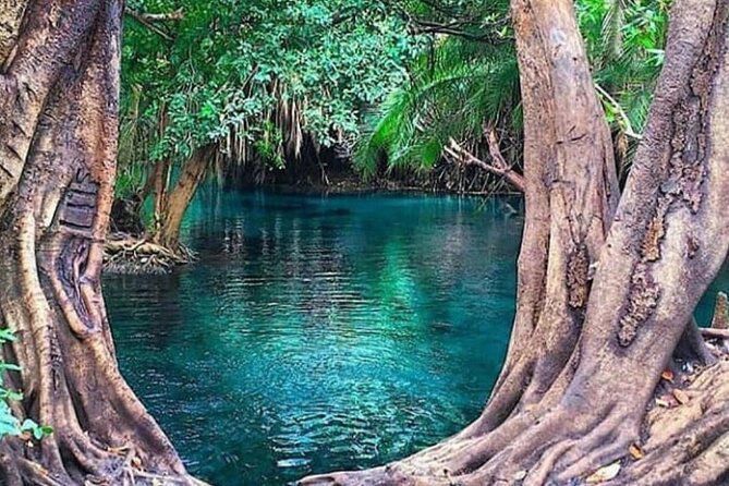 a river with trees and water in the background