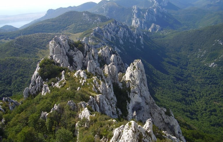 Scenic landscape of Velebit mountain with rugged peaks and dense forests.
