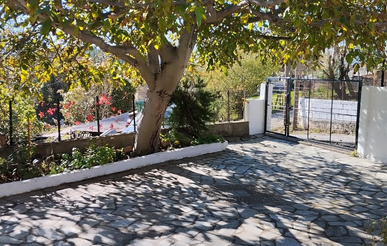 Nakou's house courtyard simplicity walnut tree Liopraso Trikala Kalabaka
