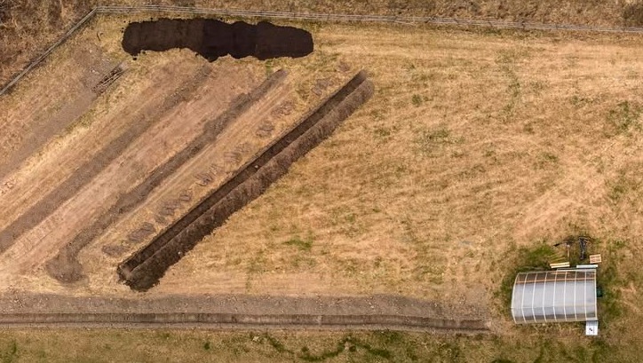 agroforestry field in preparation