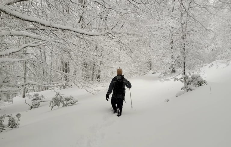 CURRUHUINCA INVERNAL