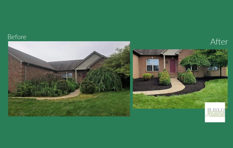 a house with a green lawn and a house with a black roof