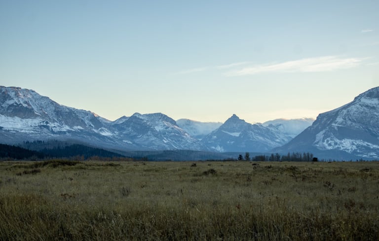 a field with mountains in the background, Glacier National Park