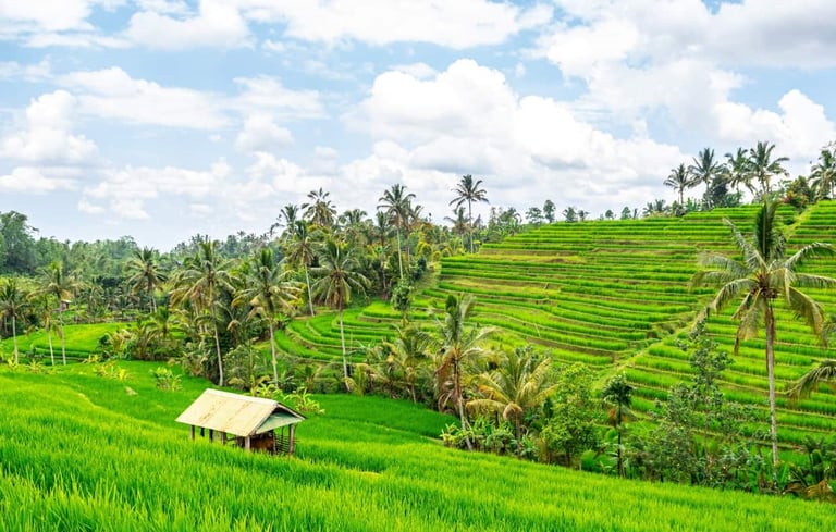 Jatiluwih Bali