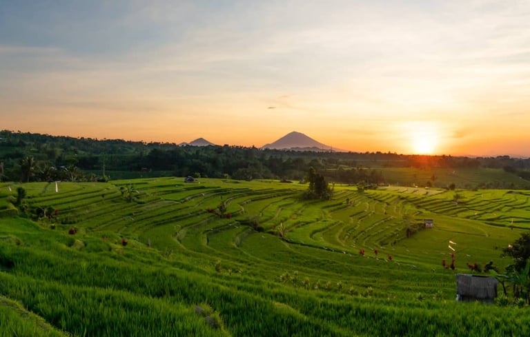 Jatiluwih Bali