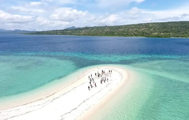 Menjangan Island