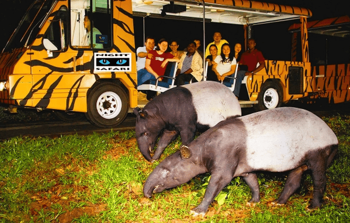 Bali Safari Night Safari