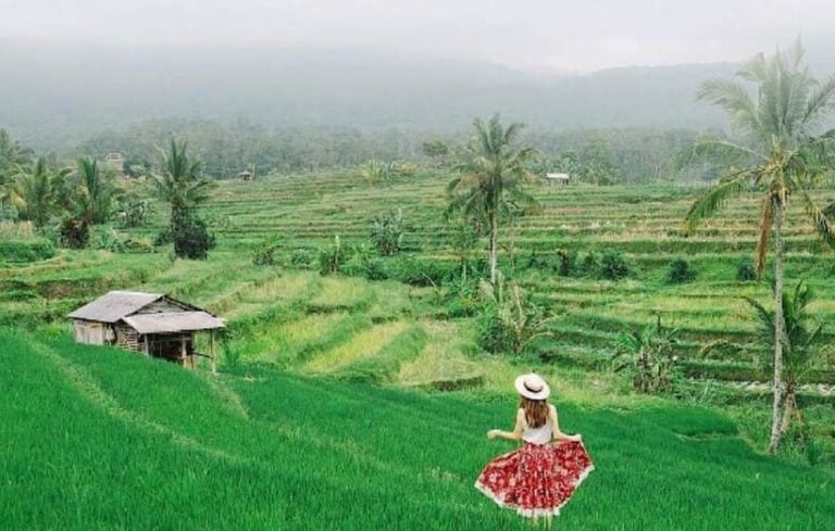 Jatiluwih Bali