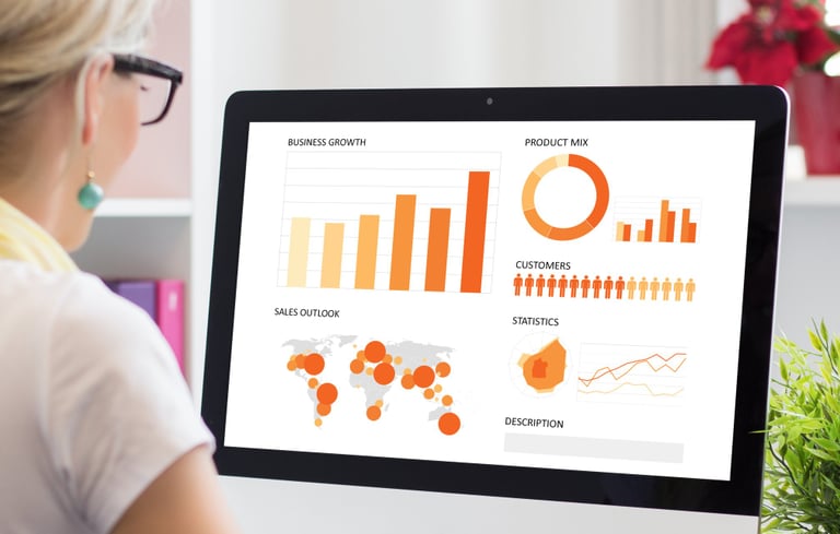 woman viewing computer screen with data visualization