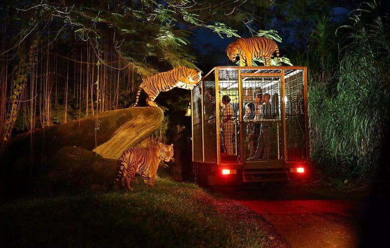 Bali Safari Night Safari