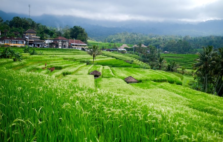 Jatiluwih Bali