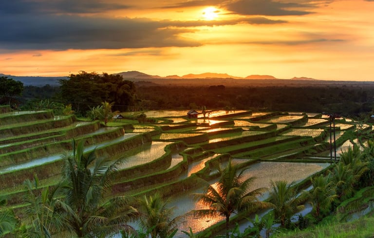 Jatiluwih Bali