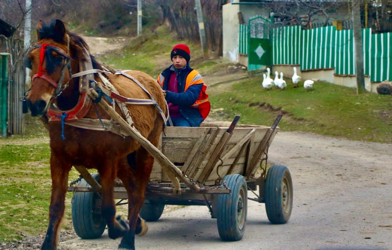 Moldawien Kutsche Kind