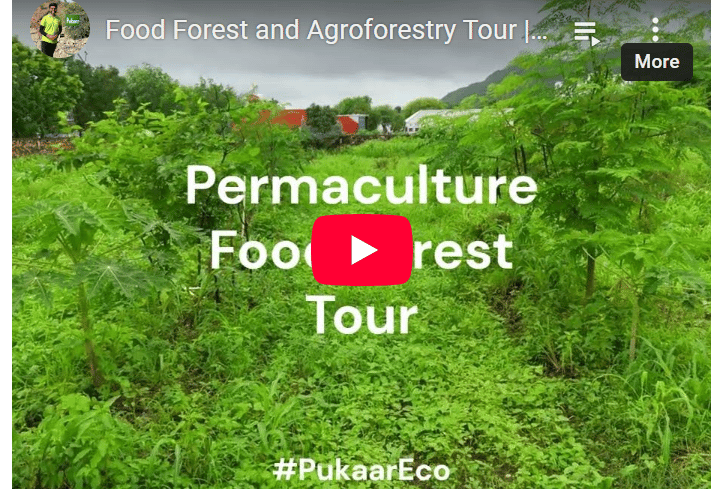 Pukaar Eco services Permaculture design
