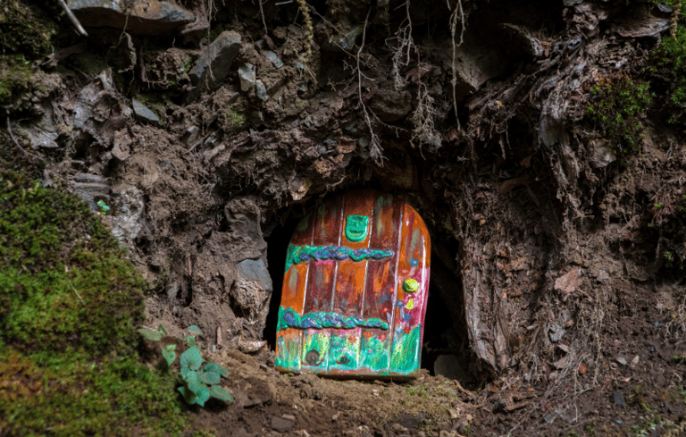 Fairy Door in a tree trunk